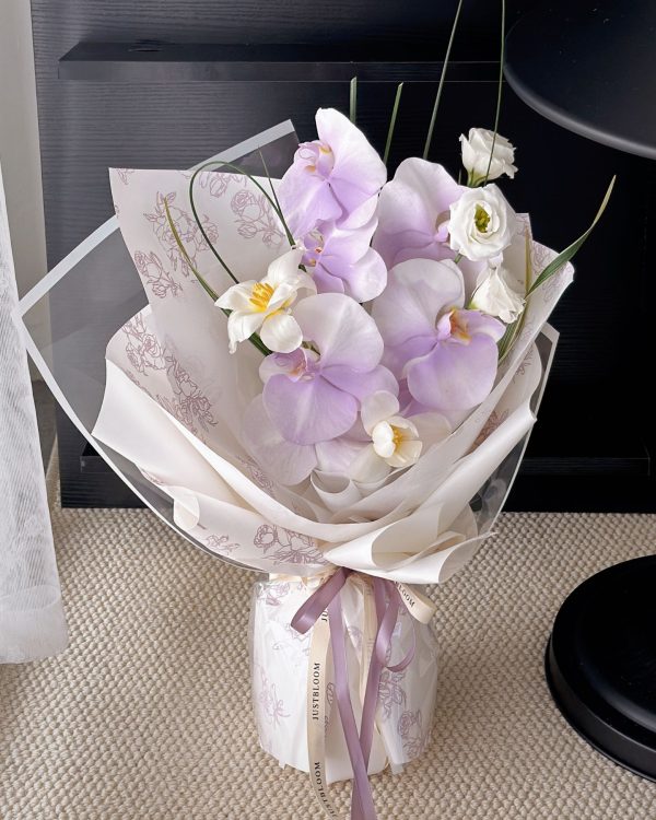 Phalaenopsis Athena
